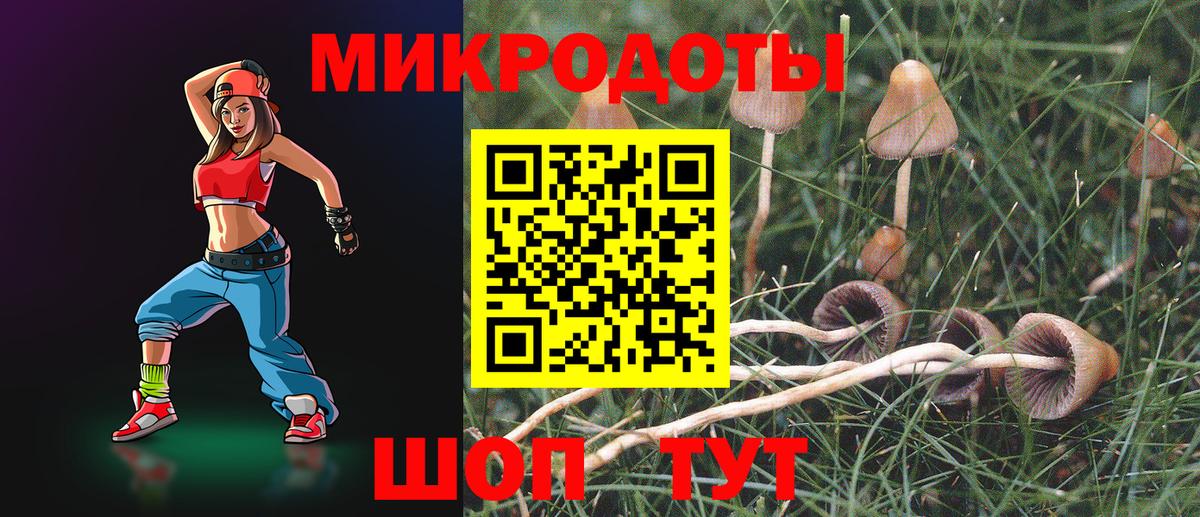 Псилоцибиновые грибы GOLDEN TEACHER  Псилоцибиновые грибы Psilocybine cubensis  Вход с VPN  Подольск 